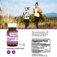 thumbnail image 5 of Kyo-Dophilus Enzymes+ Probiotic, Nutrient digestion and gut health, 120 Capsules, 5 of 5