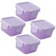 thumbnail image 3 of 4pcs Mini cajas de fresco de mantenimiento de frescos Contenedores de verduras conjuntamente Caja de condimentos, 3 of 5