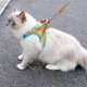thumbnail image 2 of Cat Harness and Leash Set,Escape Proof Kitten Vest Harness with Collars for Walking, Easy Control for Small Large Kitten,M, 2 of 5