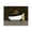 Deco Bathroom Tub, variant on Stupell Industries Modern Deco Style Glam Bathroom Black Floating Frame Canvas Art, 21 x 17, by Conrad Knutsen
