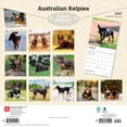 thumbnail image 2 of Australian Kelpies 2027 12x24" (Hanging) Wall Calendar | Plastic-Free | BrownTrout, 2 of 9