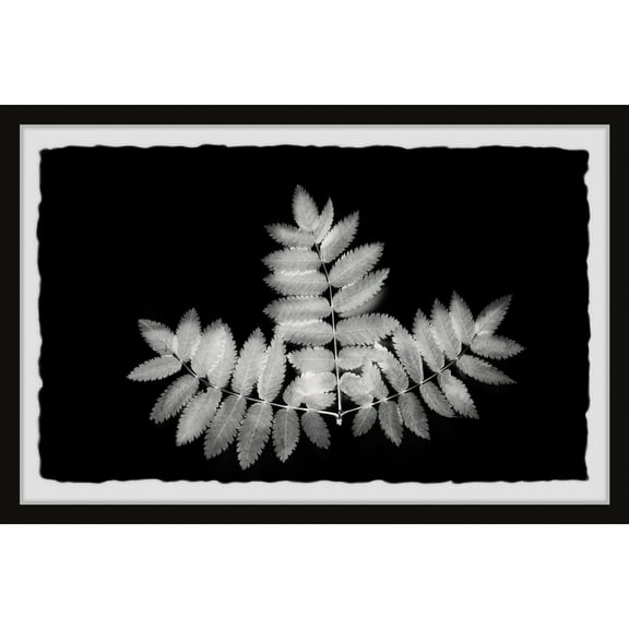 Marmont Hill Contrasting Leaves Framed Painting Print