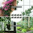 thumbnail image 3 of unbranded 50Ud Garden Orchid Clips Para Sujetar Y Proteger Con Sin Dañar Plantas, 3 of 5