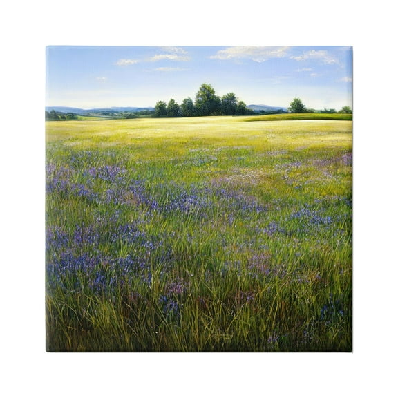 Stupell Industries Vast Meadow Landscape Landscape Painting Gallery Wrapped Canvas Art Print Wall Art, 17 x 17