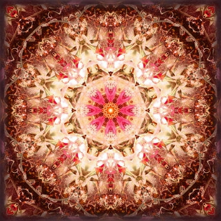 Photography Artwork - A Mandala Ornament from Flowers, Photography, Layer Artwork Print Wall Art By Alaya Gadeh