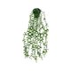 thumbnail image 5 of Planta No tóxica Wosthever eucalipto largo 2Conjunto decoración de escritorio, 5 of 6