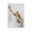 Unframe-style, variant on Bird, Great Reed Warbler Poster Decorative Painting Canvas Wall Art Living Room Posters Bedroom Painting 08x12inch(20x30cm)