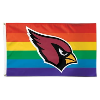 WinCraft Louisville Cardinals 3' x 5' Disney One-Sided Flag