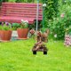 thumbnail image 5 of Wmhnj Estacas de jardn acrlicas con hadas y colibres para decoracin exterior, estilo bohemio, 5 of 8