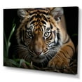 thumbnail image 2 of Designart "Portrait of a Brown Tiger" Animals Canvas Wall Art, 2 of 5