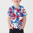thumbnail image 2 of Hihipz 4Th Of July Tshirt For Toddler Boys America's 250Th Anniversary Tie Dye Short Sleeve T-Shirt Casual Independent Day T Shirt, 2 of 4