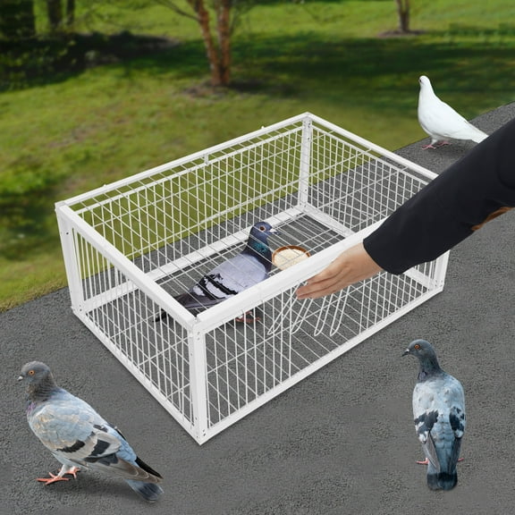 White Pigeon Cage Iron 4-Doors Rectangle Bird Cage one-way door for pigeons Used In Courtyards, Balconies, Lawns, Woods