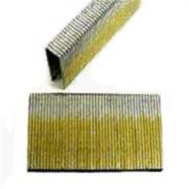 National Nail 617110 Construction Staple - 1.75 x .43 In. 16 Gauge