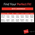 thumbnail image 4 of Hanes Boys' Originals Boxer Briefs, Tween Boy Underwear, Cotton Stretch, 6-Pack, 4 of 4