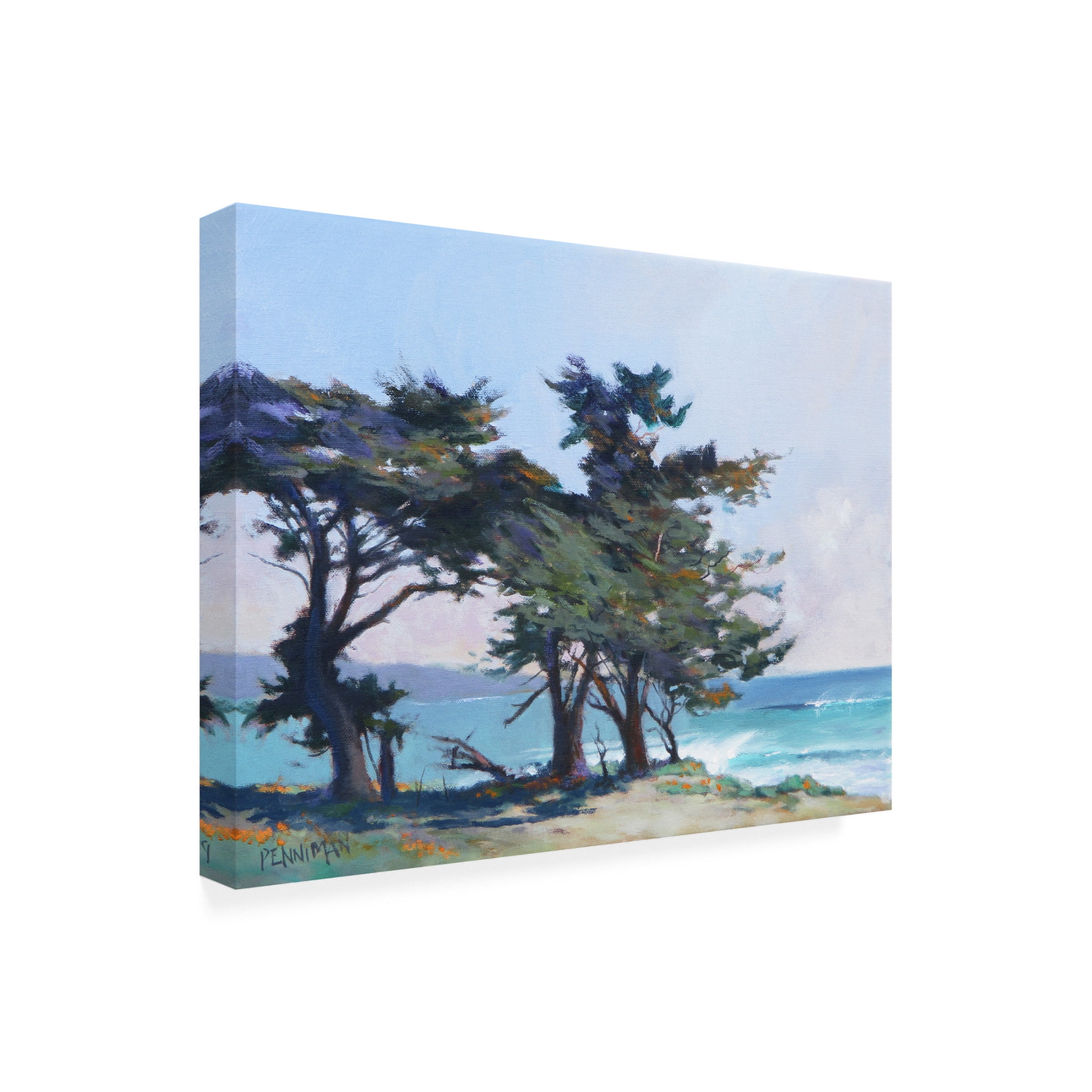 Canvas Wall Art - Ed Penniman 'Lighthouse Field II' Wall Art for Living Room, Bedroom, or Office Décor by Trademark Fine Art - 24 x 18 Inches