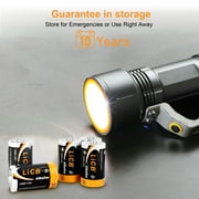 LiCB Alkaline D Batteries 16-Pack, 1.5 Volts Long-Lasting D Cell Alkaline Batteries Perfect for Camping Lantern
