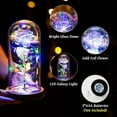 thumbnail image 3 of COSTYLE Artificial Rose Flower Light Up Rose in A Glass Dome Gifts for Women Mom Birthday Christmas Anniversary, 3 of 5
