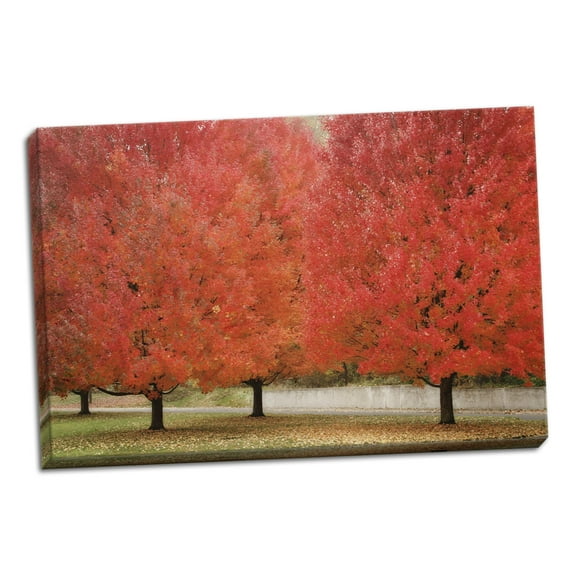 Gango Home Decor Fall Beauty II by Vitaly Geyman (Ready to Hang); One 36x24in Hand-Stretched Canvas