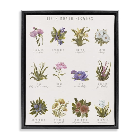 Stupell Industries Birth Month Flowers Chart Floral Painting Black Floater Framed Canvas Art Print Wall Art, 17 x 21