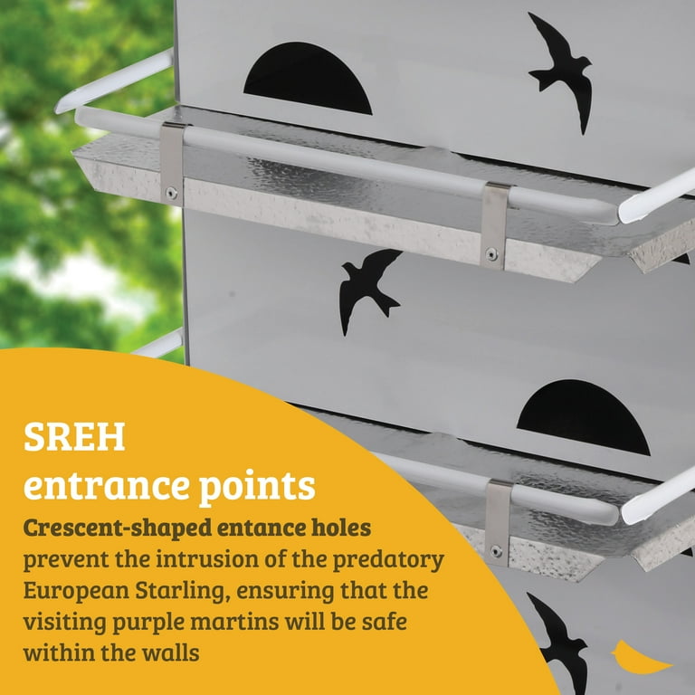 Birds Choice Medium Watersedge Purple Martin Bird House, Levels