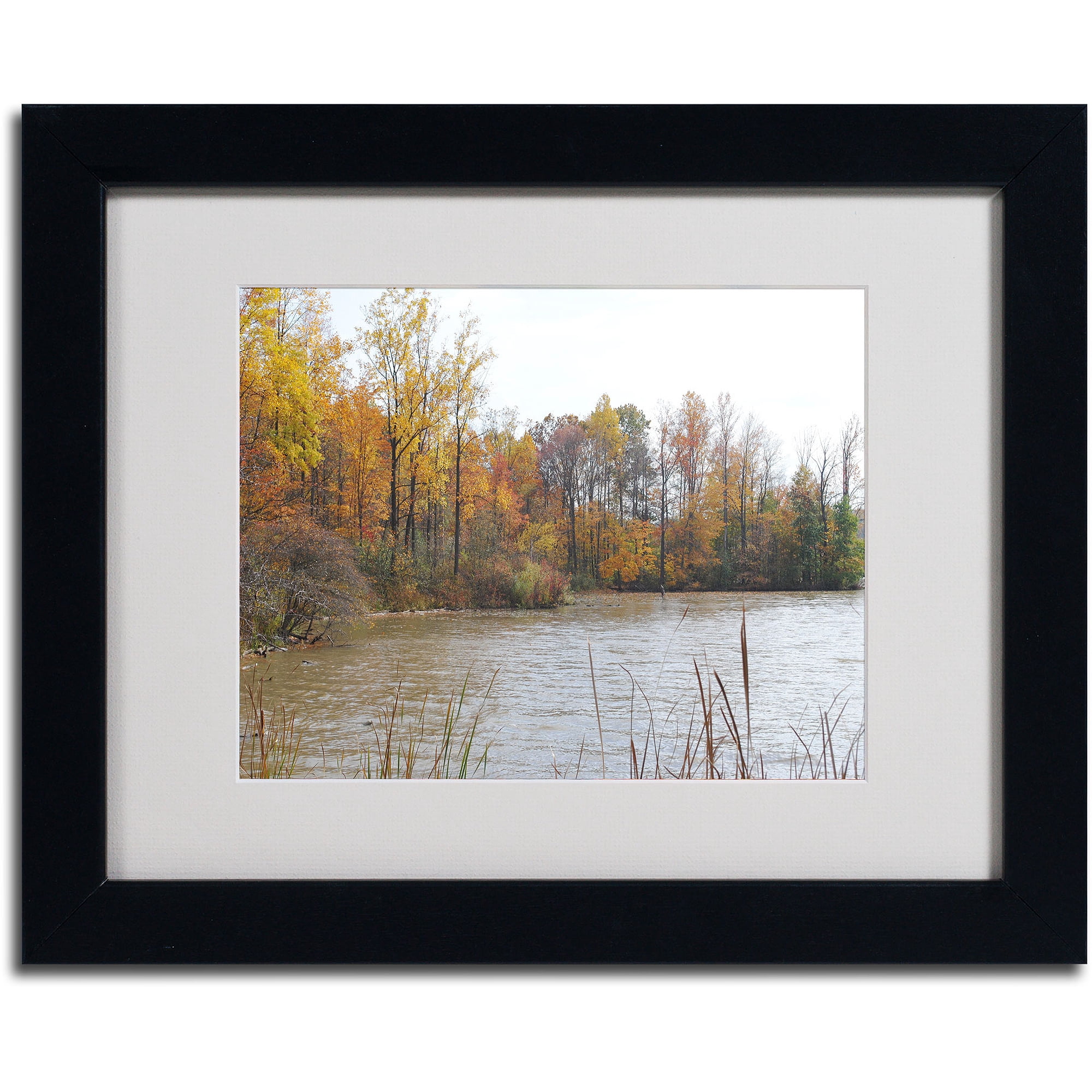 Trademark Fine Art "Just a Wonder" by Monica Fleet, Black Frame