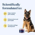 thumbnail image 2 of Honest Paws Dog Mobility Supplement- Hip and Joint Powder for Bone Health, 2 of 9