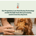 thumbnail image 4 of The Farmer's Dog Instant Fresh Chicken & Grain, 6 lb Bag Makes 18 lbs of Dog Food, 4 of 8