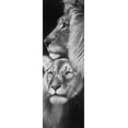 thumbnail image 2 of Atelier B Art Studio 13x32 Gold Ornate Wood Framed with Double Matting Museum Art Print Titled - Lion and Lioness, 2 of 4