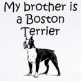 thumbnail image 2 of CafePress - My Brother Is A Boston Terrier Body Suit - Long Sleeve Cotton Baby Bodysuit, 2 of 4