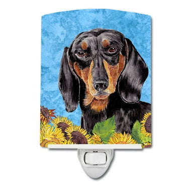 Dachshund in Summer Flowers Ceramic Night Light
