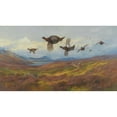 thumbnail image 2 of Archibald Thorburn 14x10 Black Ornate Wood Framed Double Matted Museum Art Print Titled: Swerving from the Guns-Red Grouse (1913), 2 of 5