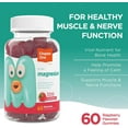 Chapter One Magnesium Gummies for Kids & Adults Kosher Calm Supplement