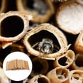 thumbnail image 2 of 50Pcs Mason Bee Tubes Reed Bee Tubes Replacement Natural Reed Bee Tubes Bees Nesting Tubes, 2 of 4