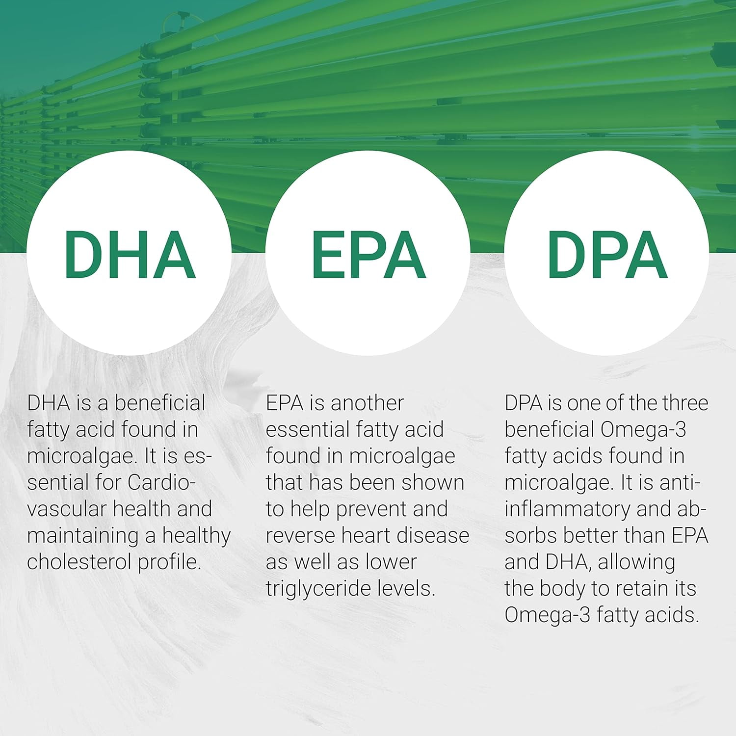 Naturalis【520mg Per Softgel】Vegan Omega 3 DHA, EPA & DPA from Algae | Vegan Society Certified, Sustainably Sourced, True Full Spectrum | 120 Veggie Softgels (Carrageenan Free)