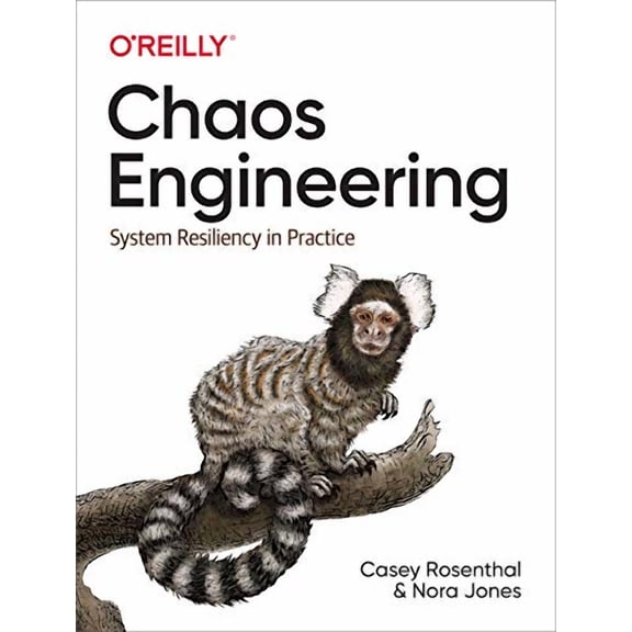 Chaos Engineering: System Resiliency in Practice (Paperback)