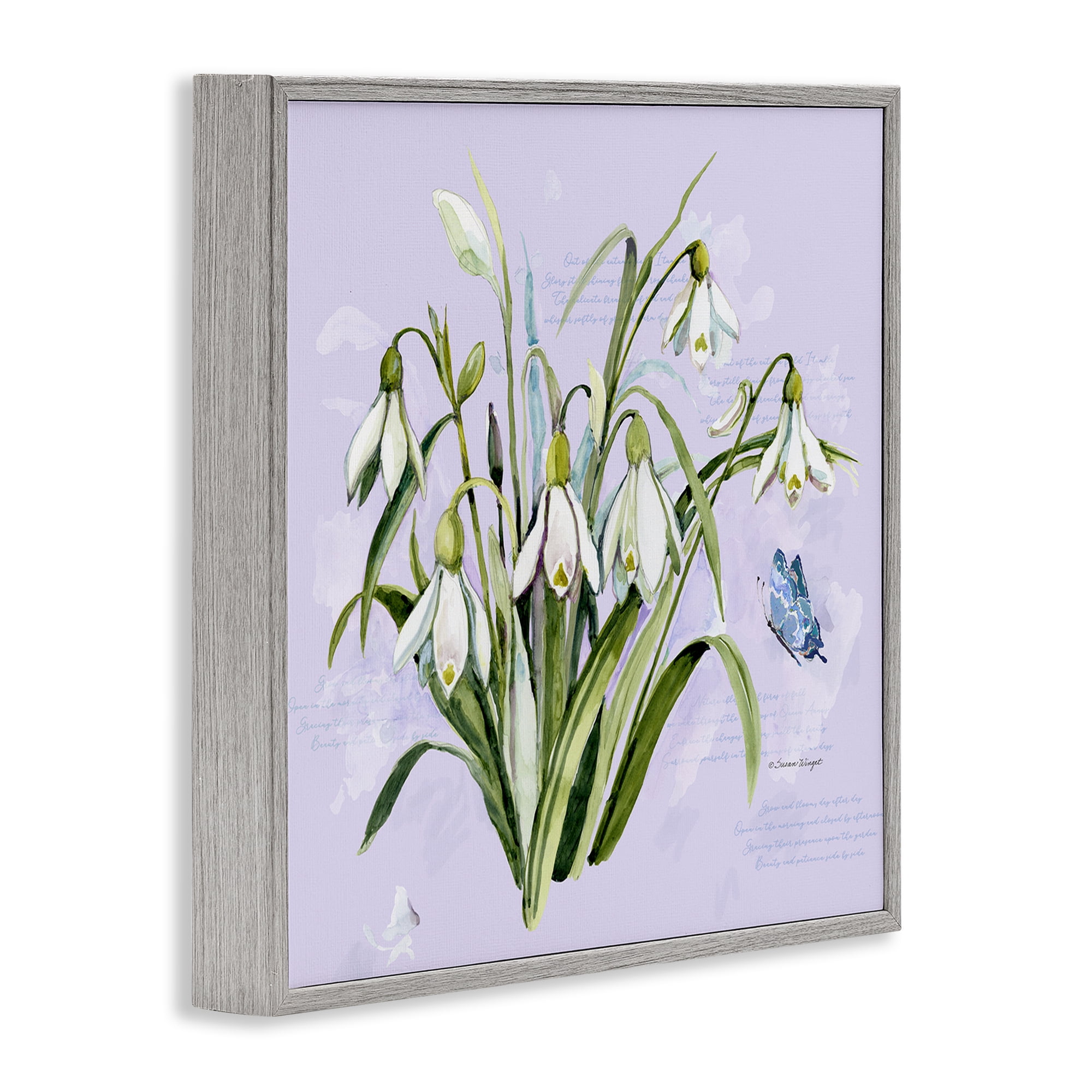 Stupell Industries Snowdrops with Vintage Writings Gray Framed Giclee Art, design by Susan Winget