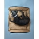 thumbnail image 5 of Cama para perro de lujo LUNICS Grande Miel, 5 of 6
