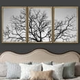 thumbnail image 3 of wall26 - 3 Piece Framed Canvas Wall Art - Dead Tree Branch, Black and White - Modern Home Art Stretched and Framed Ready to Hang - 16"x24"x3 NATURAL, 3 of 5