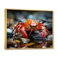 thumbnail image 2 of Designart "Jewels of the River Crayfish" Animals Floater Framed Canvas Wall Art, 2 of 7