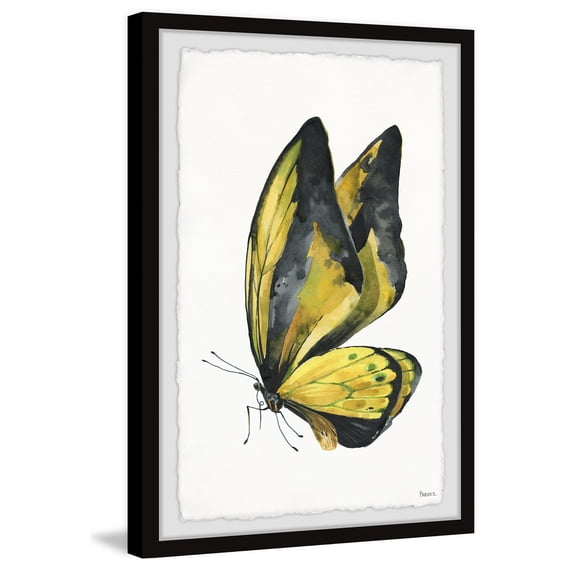 "Black and Yellow Mariposa" Framed Painting Print