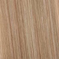 Light Brown&Bleach Blonde