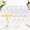 Clear-24, variant on Clear 24 Pack Plastic Martini Glasses with Flower Ribbed Coupe Design