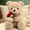 9.1"Brown, variant on 9.1" Valentines Day Stuffed Animals Teddy Bear with Rose, Large Rose Bear Valentines Day Gift Plush Toy Cartoon Cuddly Doll Birthday Party Holiday Wedding Decor Gift Stuffed Animals