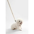 thumbnail image 5 of THE LICKER STORE Teddy Extra Small Bouclé Adjustable H Harness and Leash Walk Set with Poop Bag Pouch, Beige, WLK1000A-4SET, 5 of 8