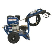 Powerhorse Gas Cold Water Pressure Washer, 3800 PSI, 3.6 GPM
