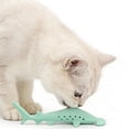 thumbnail image 6 of Silicone Cat Chew Toy Fish Shape with Catnip Compartment Soft Teething Dental Play for Indoor Cats, 6 of 7