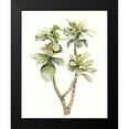thumbnail image 2 of Meagher, Megan 12x14 Black Modern Framed Museum Art Print Titled - Tropical Watercolor Leaves III, 2 of 5