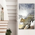 thumbnail image 1 of Leopard on Tree under Cloudy Sky - African Wall Art Print, 1 of 3