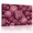 B, variant on XaaKee Pink Leopard Flowers Butterflies Artistic Wall Art Painting Canvas Prints Wall Art Inner Framed 18*12Inch