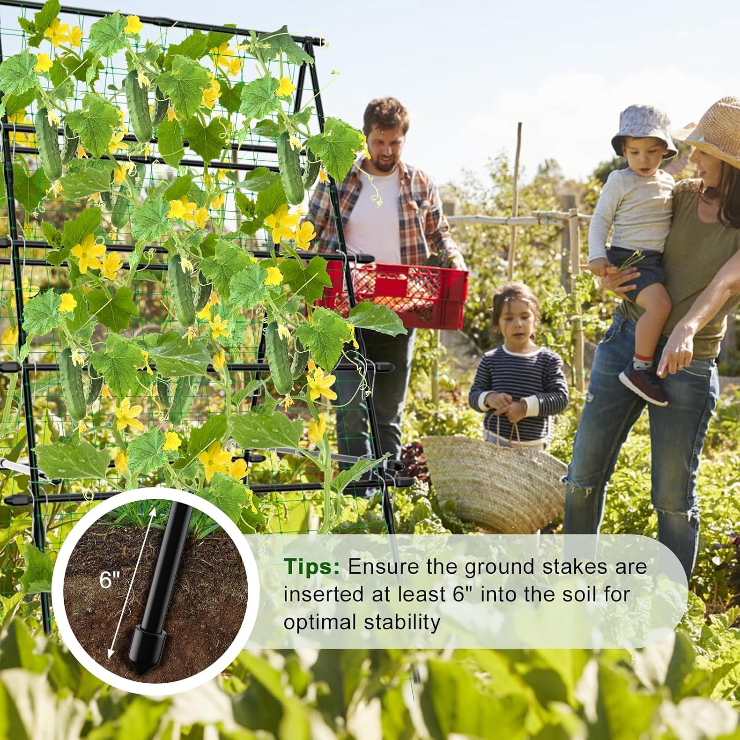 Sedeke 6ft Cucumber Trellis for Raised Bed, Garden Trellis for Climbing Plants Outdoor, A Frame Metal Trellis Support with Net for Vegetables Vines